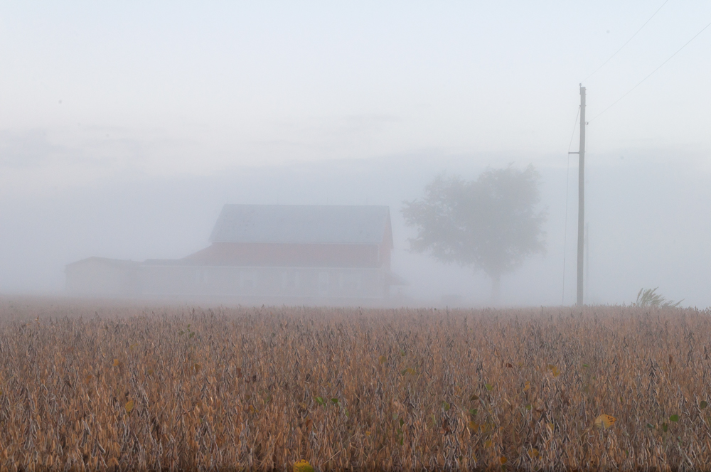 foggy autumn morning in rural ohio