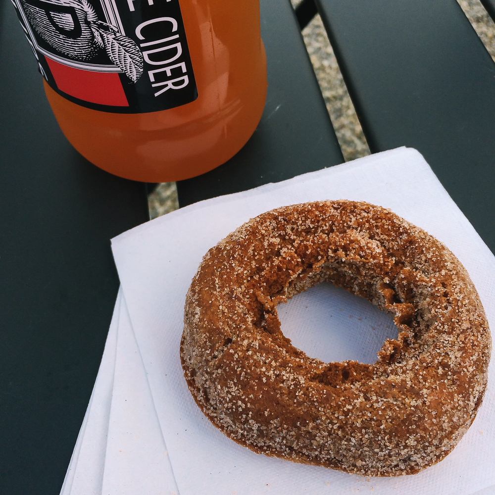 cider donut during an autumn road trip through michigan to traverse city