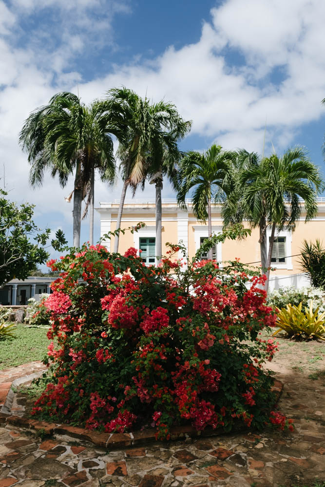 Garden of the Casa Blanca House Museum in San Juan, Puerto Rico